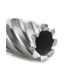 Izar weldon kruna 28x30mm HSS-XT
