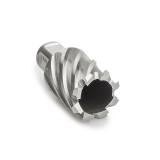 Izar weldon kruna 20x30mm HSS-XT