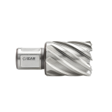 Izar weldon kruna 14x30mm HSS-XT